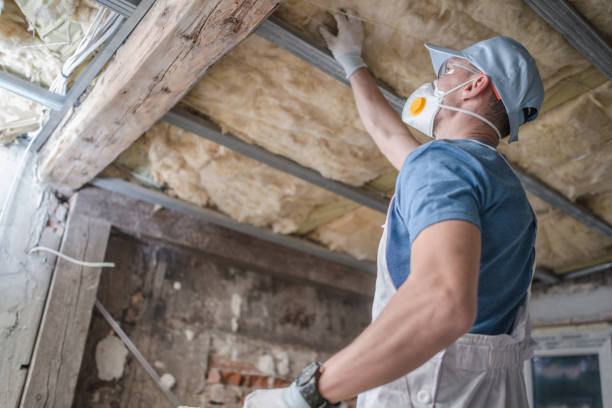 Best Residential Insulation in Malvern, AR